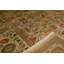 Chantel Oriental Area Rug