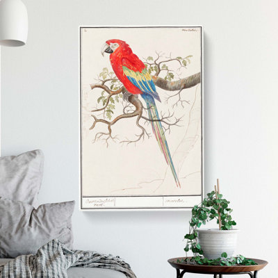 Macaw Parrot by A.B. de Boodt - Wrapped Canvas