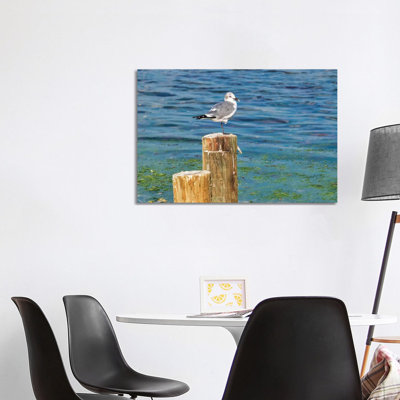 Seagull On A Piling, Florida, USA by Lisa S. Engelbrecht - Wrapped Canvas Gallery-Wrapped Canvas Giclée