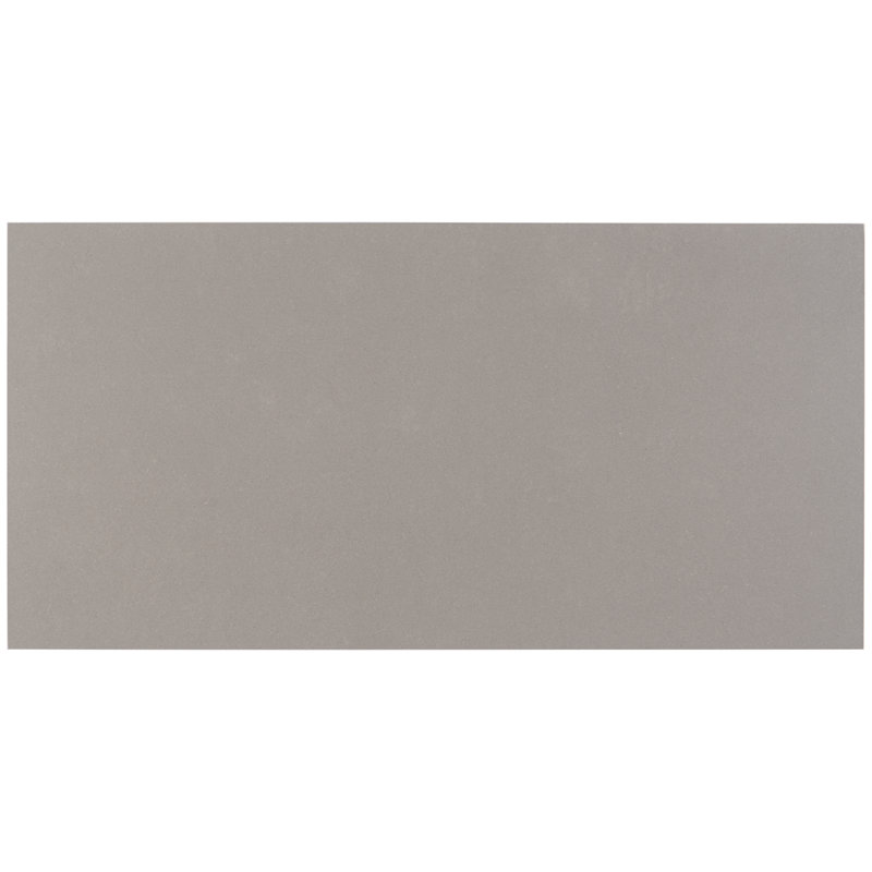 Techno 12" x 24" Porcelain Wall & Floor Tile, Matte Dark Gray