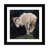 Papier beaux-arts encadré noir n'est pas disponible