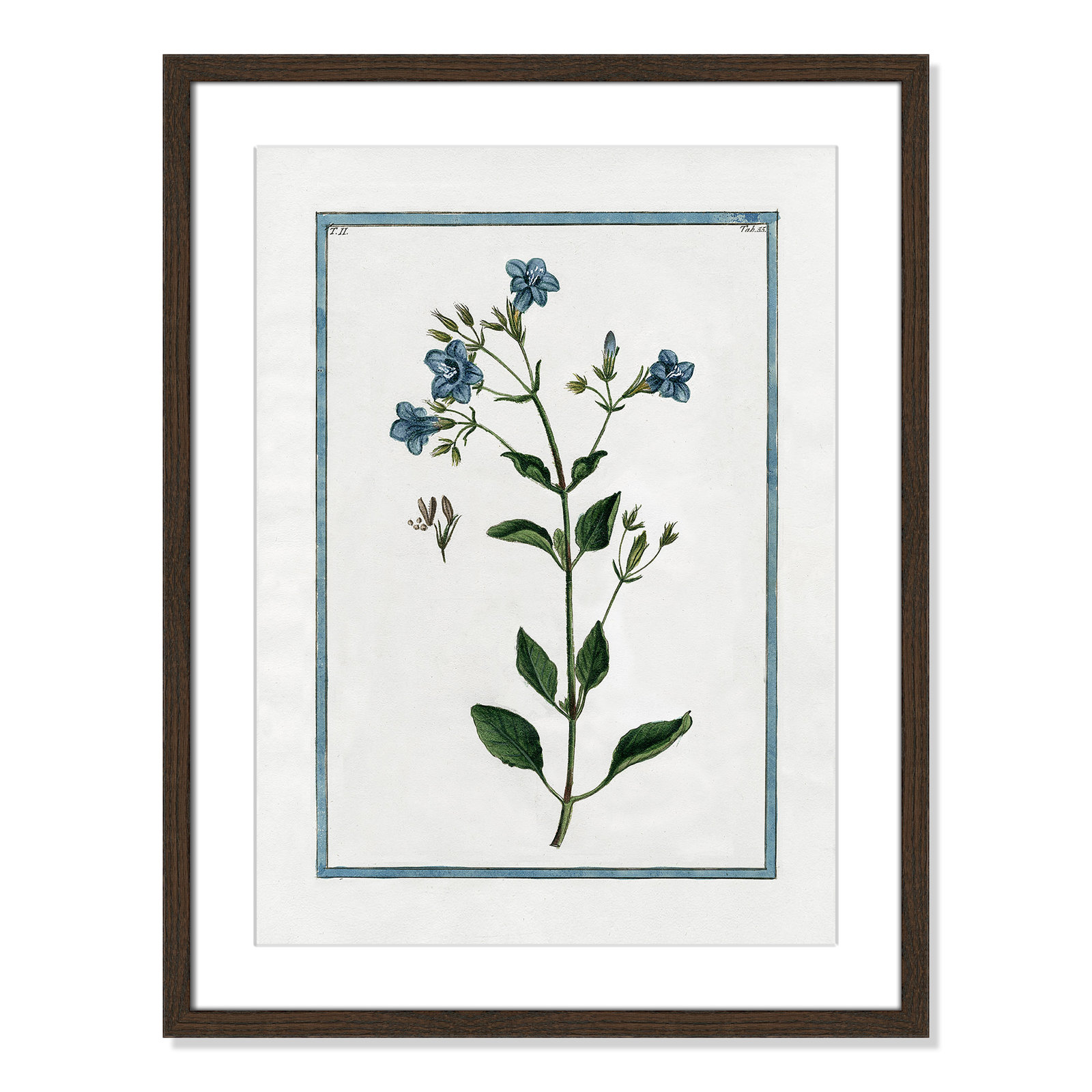 Shabby Elegance Botanical II - Framed Art, 17" W x 23" H, Walnut Framed