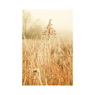 Nordic Winter III 1 Piece Wrapped Canvas Wall Art
