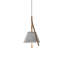 Cambo 1 Pendant