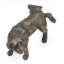 Fontaine pour chien Naughty Dog
