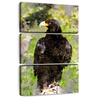 Brampt Majestic Black Eagle