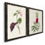 Pretty Pink Botanicals VI - 2 Piece Single Picture Frame Painting on Canvas-634548709-634549776