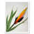 White Framed Paper