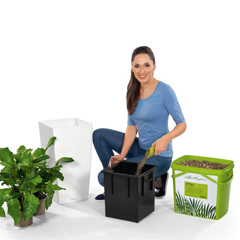 Plant Support, Pink