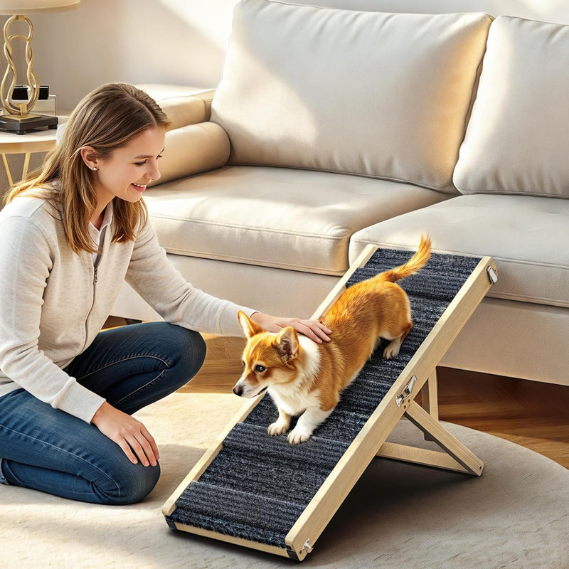 Rampe pliable pour chien, petite rampe pour lit bas, 4 hauteurs réglables de 13 po à 21 po