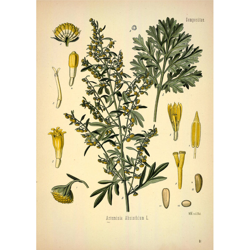 Botanique 44, H 36 po x l 24 po x P 1,5 po