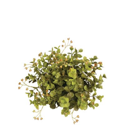 Remplisseur de vase Tongouin Eucalyptus