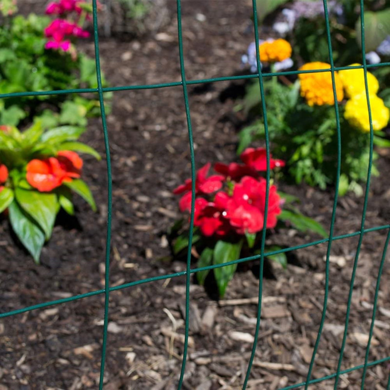 25 Ft. H x 24 Ft. W Border Fencing