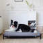 Dunlop Orthopedic Cotton Pet Bed