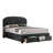 Rocsi Upholstered Tufted Storage Platform Bed-944814591-944814529