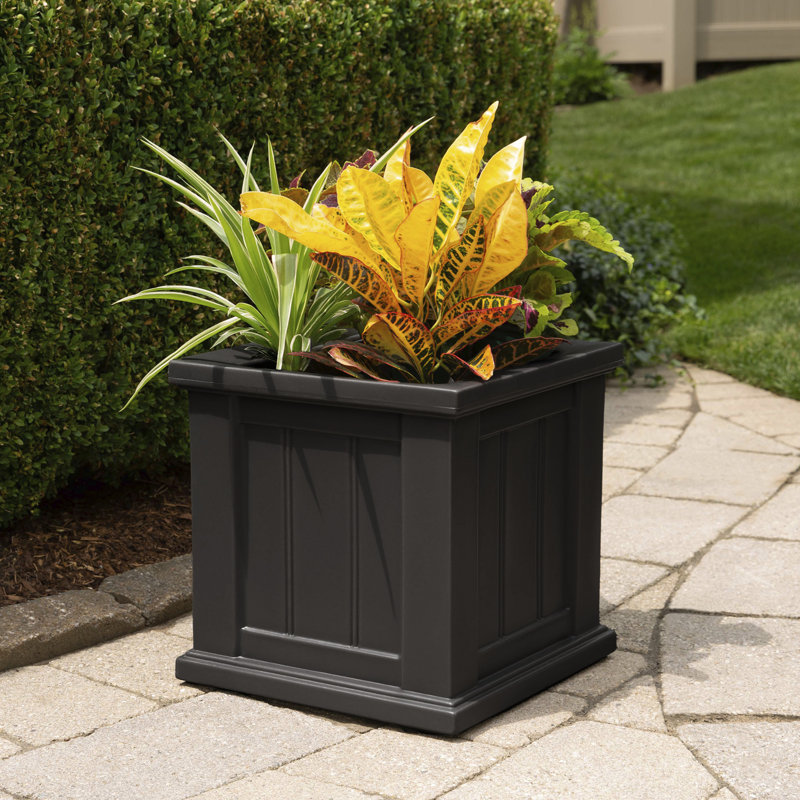 Selevae Resin Planter Box with Water Reservoir, 14" H x 14" W x 14" D, Black