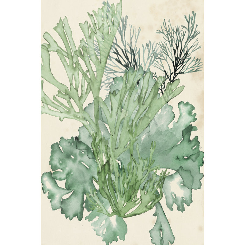 Seaweed Composition II - Wrapped Canvas Painting, 46cm H x 30cm W x 3.8cm D