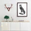 Egyptian Owl Illustration - Picture Frame Drawing Print-55539659-55539660