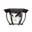 Plafonnier d'extérieur 3 lumières Meridian en noir-381776859