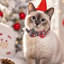 Collier de Noël doux en tissu doux avec nœud pour petits chiens moyens, décoration et cadeau des Fêtes, rouge 9,8 à 12,6 po-130398044