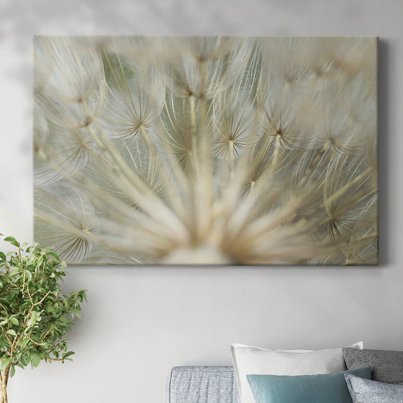 Macro Dandelion IV-Gallery Wrapped Canvas, 12" H x 18" W