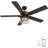 52'' Ceiling Fan with Light Kit-103122801