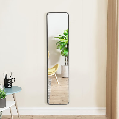 Maely Aluminum Rectangle Mirror