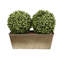 GreenBrokers Artificial Double Ball Boxwood in Straight Black Tin Window Box 35cm/14in-543835834