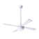 Ball Ceiling Fan