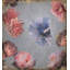 Underwater Boutique 2 Framed Oil Painting Print Canvas-1201212258