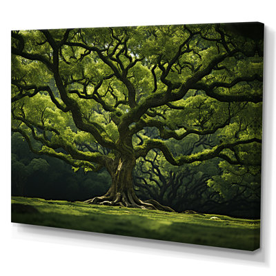 Chêne vert, puissance de la forêt - art mural grand chêne