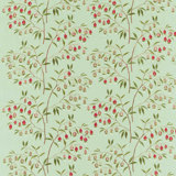 Chinese Lantern Fabric