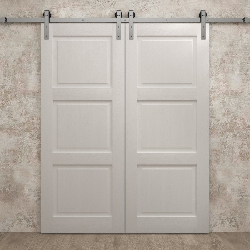 Porte de grange double moderne 84 x 84 pouces Ego 5010 Chêne blanc peint Ensemble de rails argentés 14 pi Portes intérieures à panneaux pleins