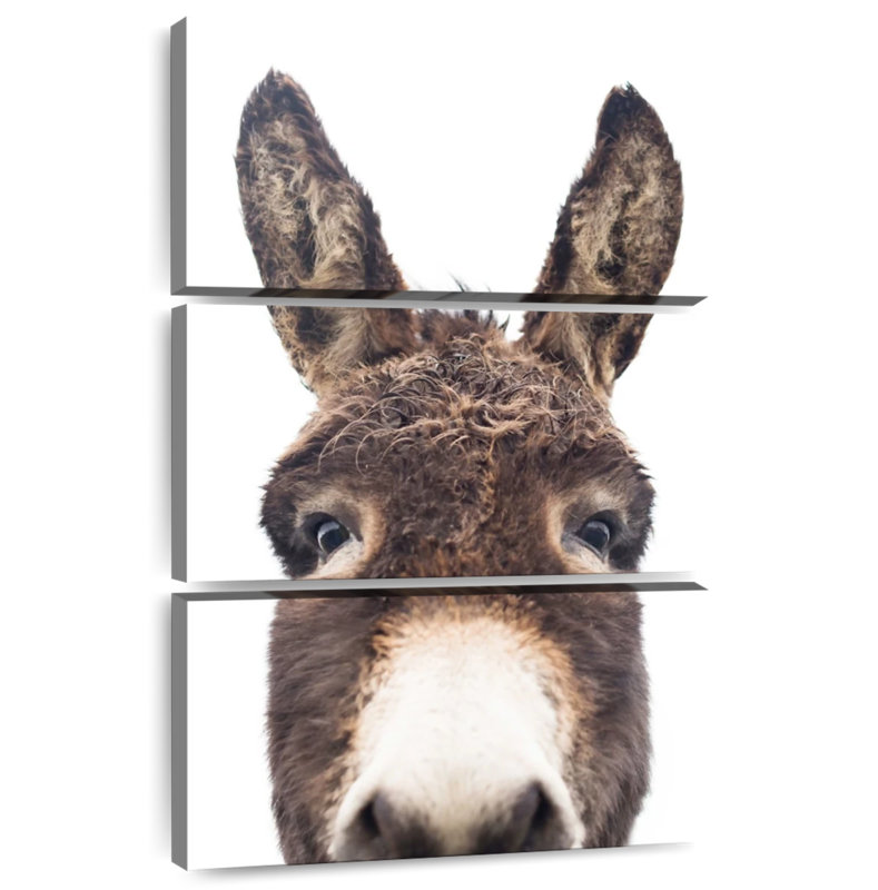 Brampt Peeking Donkey, 50" H x 32" W