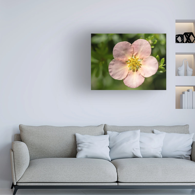 Art sur toile Suzanne Bonin, H 35 po x l 47 po