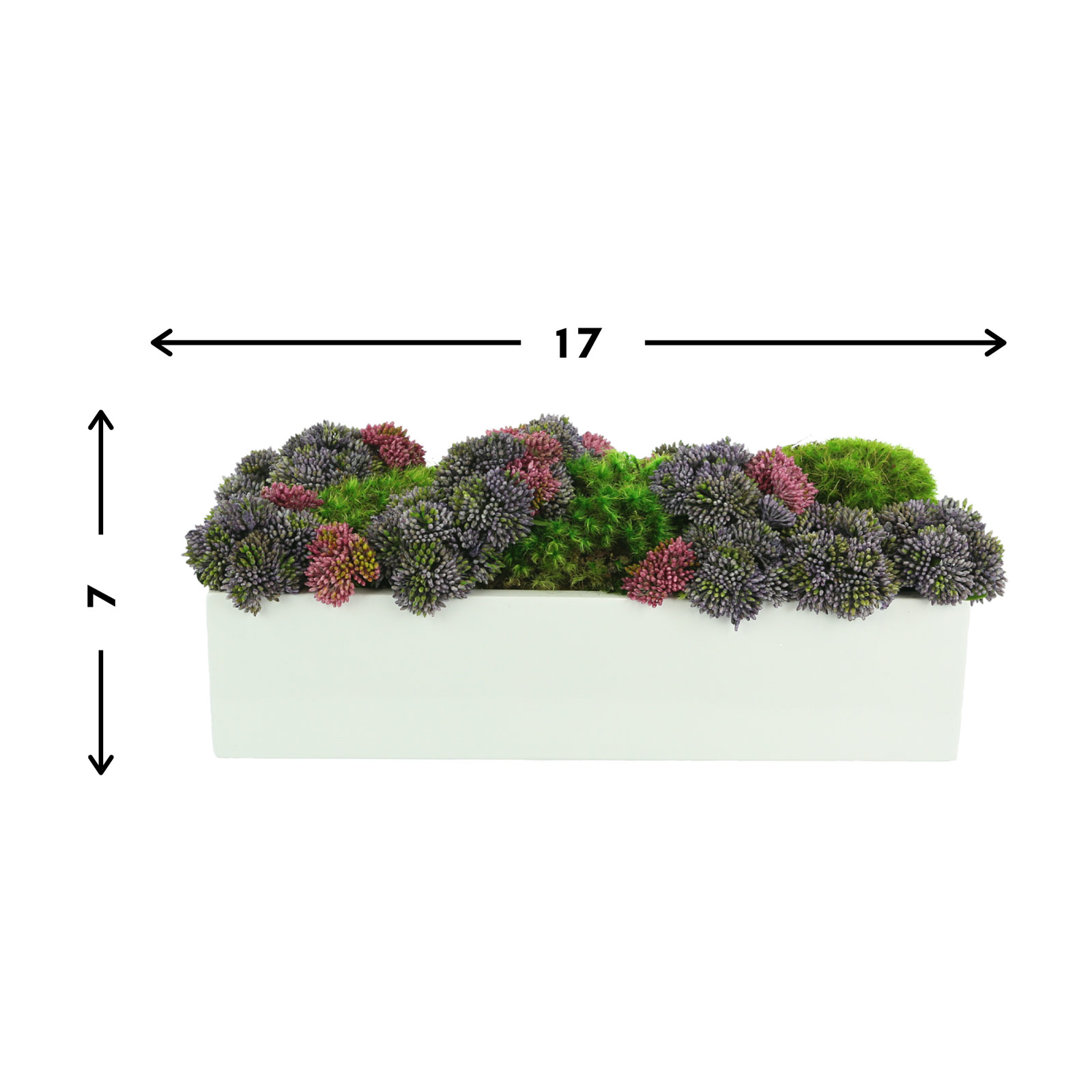 8'' Succulent Sedum in Fiberstone Planter, Rectangular, 7" H x 17" W x 6" D