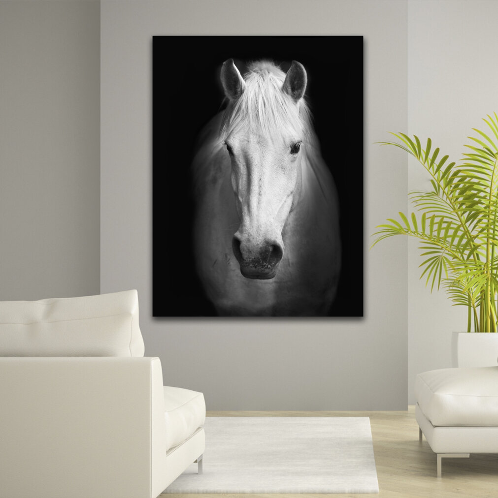 Latitude Run® White Horse Face - Wrapped Canvas Photograph Print ...