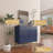 2-Door Storage Accent Cabinet-1798379972