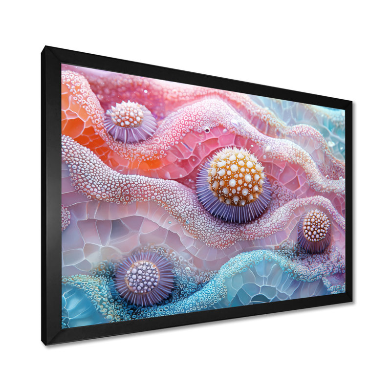 Oursin coloré et corail lavande - art mural oursin, Reproduction encadrée d'une seule photo, Noir, noir, noir, noir