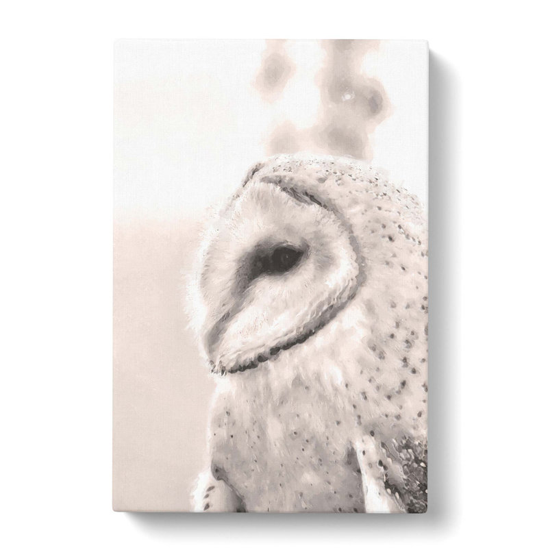Watchful Barn Owl Bird - Wrapped Canvas Print, 50cm H x 35cm W x 3cm D