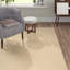 Fancy Beige Rug-23403617