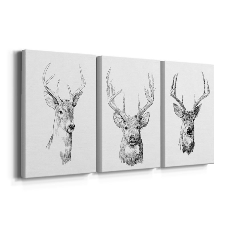 Young Buck S croquis I - Toile tendue avec châssis sur mesure - 3 pièces, H 12 po x l 24 po