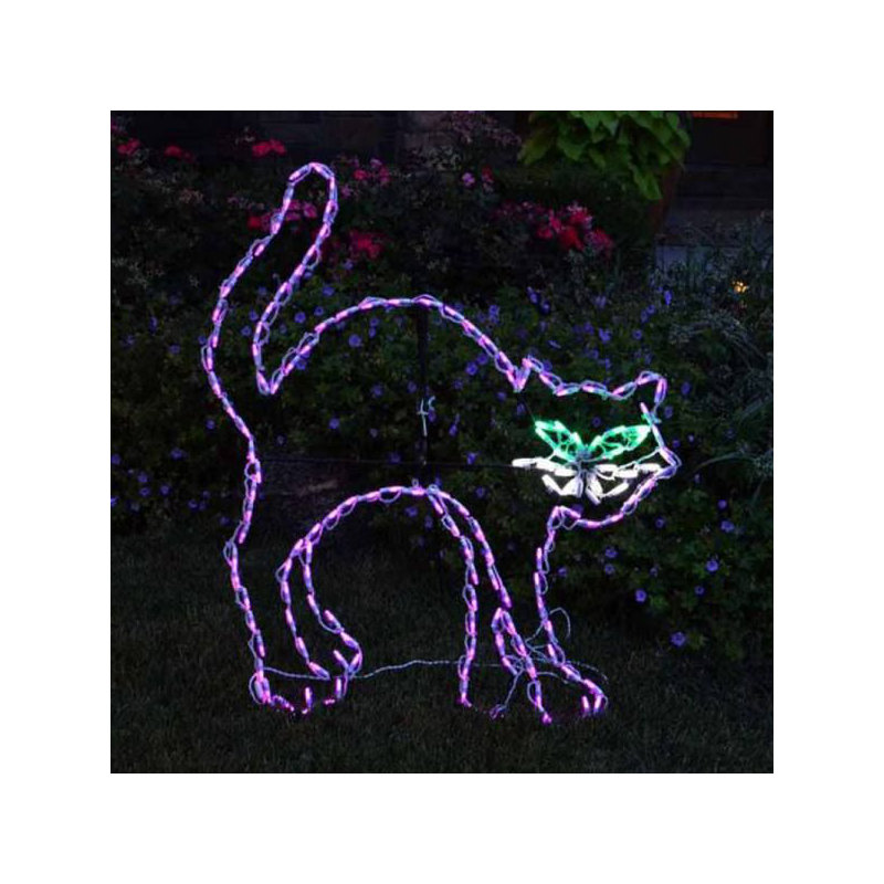 Affichage éclairé par chat noir de led