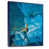 Blue Floater Frame