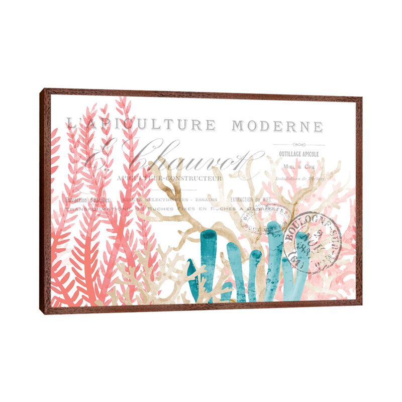 Coral Cove I by Kimberly Allen - Print on Canvas, 66.04 cm H x 45.72 cm W, Classic Brown Wood Framed