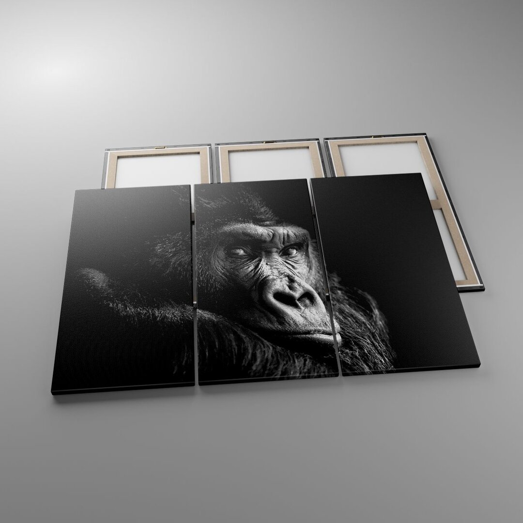 3-tlg. Leinwandbilder-Set Monkey Gorilla Portrait