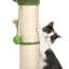 Grattoir 34 "Connard Cactus-298277253-317513941