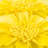  Sunflower Lumbar Rectangular Indoor/Outdoor Pillow Cover-737483160