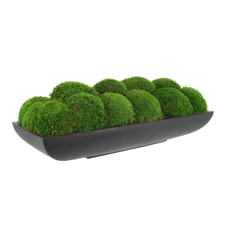 Moss Preserved in Oblong Planter, 9" H x 25" W x 10.5" D