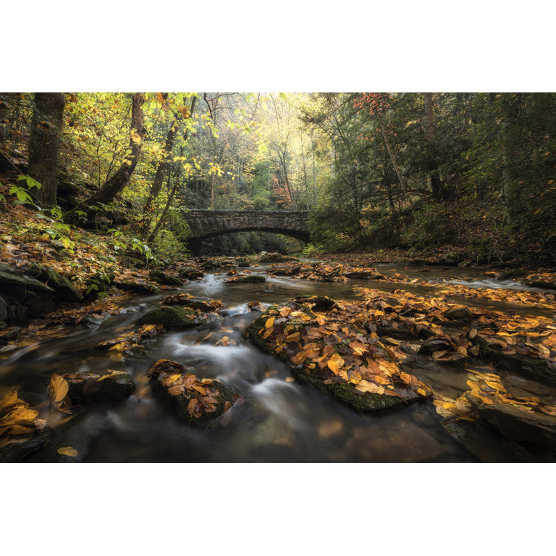 Stone Bridge by Danny Head - Print on Canvas, 20 cm H x 30 cm W, Black Floater Framed
